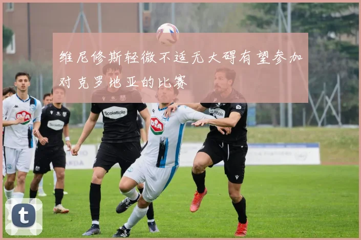 维尼修斯轻微不适无大碍有望参加对克罗地亚的比赛