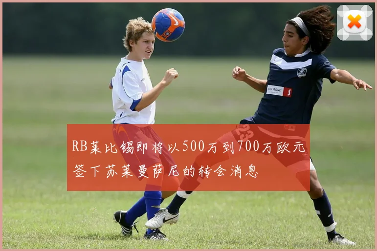 RB莱比锡即将以500万到700万欧元签下苏莱曼萨尼的转会消息