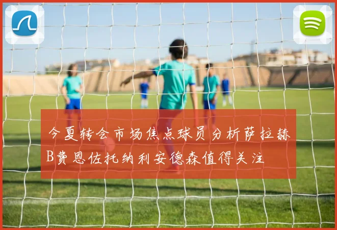 今夏转会市场焦点球员分析萨拉赫B费恩佐托纳利安德森值得关注